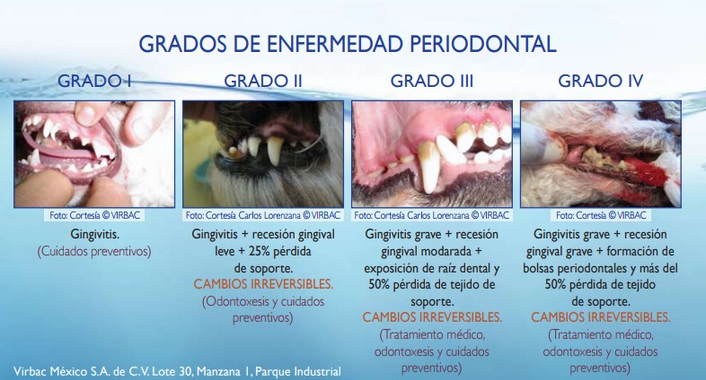 clínica Veterinaria Los Robles - Alimentos de mascotas, Farmacia, Cuidado de animales