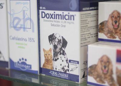 clínica Veterinaria Los Robles - Alimentos de mascotas, Farmacia, Cuidado de animales